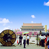 额定电压0.6/1kV铜芯交联聚乙烯绝缘预分支电缆